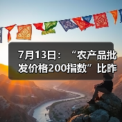 7月13日：“农产品批发价格200指数”比昨天上升0.08个点（图2）