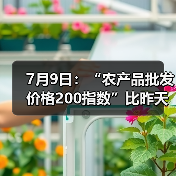 7月9日：“农产品批发价格200指数”比昨天上升0.05个点（图4）