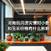 河南暴雨冲击粮食市场 价格逆势保持稳定 河南省洪涝灾情对小麦和玉米价格有什么影响?(图3)