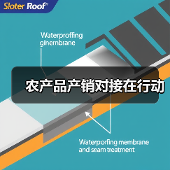 农产品产销对接在行动（图2）