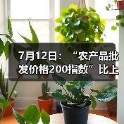 7月12日：“农产品批发价格200指数”比上周五上升0.14个点（图4）