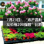 农产品价格波动情况解读与市场动态分析 7月23日:“农产品批发价格200指数”比昨天上升0.02个点(图1)