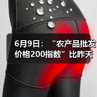 农产品价格波动监测:肉类与蔬菜行情分析 6月9日:“农产品批发价格200指数”比昨天下降0.24个点(图3)