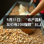 5月31日:“农产品批发价格200指数”比上周五下降0.61个点 5月31日:“农产品批发价格200指数”比上周五下降0.61个点(图4)