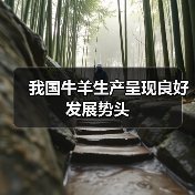 我国牛羊生产呈现良好发展势头 我国牛羊生产呈现良好发展势头(图1)