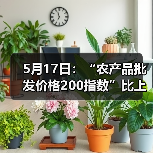 5月17日：“农产品批发价格200指数”比上周五下降0.77个点（图3）
