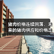生猪产能恢复背景下猪肉价格回落与市场供应分析 猪肉价格连续回落,未来的猪肉供应和价格走势如何?(图2)