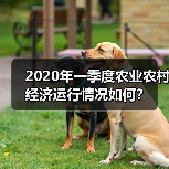 农业农村经济一季度稳中向好 七大领域齐头并进 2020年一季度农业农村经济运行情况如何?(图2)