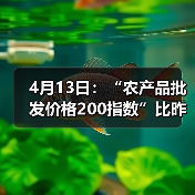 最新全国农产品价格指数及涨跌情况分析 4月13日:“农产品批发价格200指数”比昨天下降0.25个点(图2)