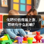 化肥价格普遍上涨，对春耕有什么影响？（图1）