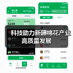 科技助力新疆棉花产量逆势增长 高产高效新模式受青睐 科技助力新疆棉花产业高质量发展(图2)