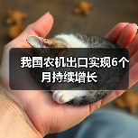 我国农机出口实现6个月持续增长（图1）