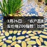 国内农产品价格波动:肉类蔬菜水产多品类涨跌分析 3月26日:“农产品批发价格200指数”比昨天下降0.08个点(图3)