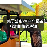 稻谷低收购价政策及价格标准解读 关于公布2021年稻谷低收购价格的通知(图2)