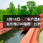 农产品价格波动:肉蛋菜等多品类价格变化解析 3月18日:“农产品批发价格200指数”比昨天下降0.16个点(图3)