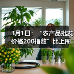 农产品价格波动监测报告:蔬菜降价肉类涨价 3月1日:“农产品批发价格200指数”比上周五下降0.45个点(图2)