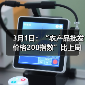 农产品价格波动监测报告:蔬菜降价肉类涨价 3月1日:“农产品批发价格200指数”比上周五下降0.45个点(图4)