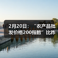 农产品价格波动分析 今日趋势解读 2月20日:“农产品批发价格200指数”比昨天下降0.48个点(图1)