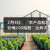 2月4日：“农产品批发价格200指数”比昨天下降0.22个点（图1）