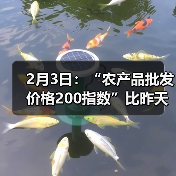 2月3日：“农产品批发价格200指数”比昨天下降0.06个点（图1）