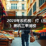 2020年农机榜：打（压）捆机三甲揭榜（图3）