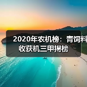 2020年青饲料收获机销量榜单揭晓 2020年农机榜:青饲料收获机三甲揭榜(图3)