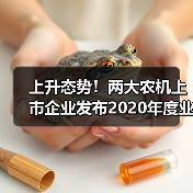 农机行业2020业绩增长亮点 上升态势!两大农机上市企业发布2020年度业绩预告(图1)