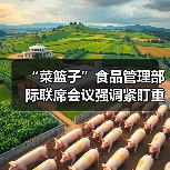 “菜篮子”食品管理部际联席会议强调紧盯重点 压实责任 提升能力 切实保障“菜篮子”产品稳定供应（图1）