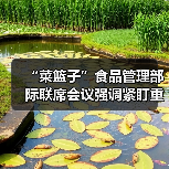 “菜篮子”食品管理部际联席会议强调紧盯重点 压实责任 提升能力 切实保障“菜篮子”产品稳定供应（图4）