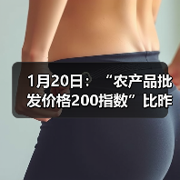 农产品价格波动监测:市场行情分析 1月20日:“农产品批发价格200指数”比昨天上升0.05个点(图2)