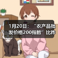 农产品价格波动监测:市场行情分析 1月20日:“农产品批发价格200指数”比昨天上升0.05个点(图1)