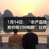 农产品价格指数上涨,肉类蔬菜价格波动显著 1月14日:“农产品批发价格200指数”比昨天上升0.43个点(图3)