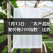 农产品价格指数上涨,肉类蔬菜价格波动明显 1月13日:“农产品批发价格200指数”比昨天上升0.70个点(图2)