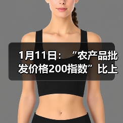 1月11日：“农产品批发价格200指数”比上周五上升1.59个点（图4）