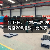 农产品价格波动及肉类蔬菜价格走势 1月7日:“农产品批发价格200指数”比昨天上升0.47个点(图4)