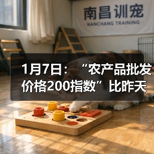 农产品价格波动及肉类蔬菜价格走势 1月7日:“农产品批发价格200指数”比昨天上升0.47个点(图3)