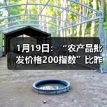 1月19日：“农产品批发价格200指数”比昨天上升0.91个点（图4）