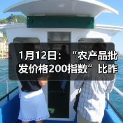 农产品价格波动分析:肉类蔬菜水果行情变化 1月12日:“农产品批发价格200指数”比昨天上升0.70个点(图4)