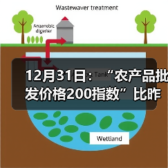 12月31日：“农产品批发价格200指数”比昨天上升0.63个点（图3）
