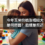今年玉米价格涨幅较大是何原因？后续是否还会上涨？（图1）