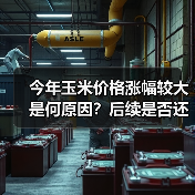 今年玉米价格涨幅较大是何原因？后续是否还会上涨？（图4）