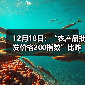 12月18日:“农产品批发价格200指数”比昨天上涨0.2个点 12月18日:“农产品批发价格200指数”比昨天上涨0.2个点(图3)