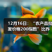 12月16日:“农产品批发价格200指数”比昨天上涨0.46个点 12月16日:“农产品批发价格200指数”比昨天上涨0.46个点(图4)