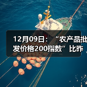 12月09日：“农产品批发价格200指数”比昨天上涨0.53个点（图2）