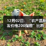 农产品价格波动分析:涨跌品种及市场行情 12月02日:“农产品批发价格200指数”比昨天上涨0.5个点(图4)