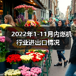 内燃机出口增长,进口下滑,外贸数据解析 2022年1-11月内燃机行业进出口情况(图3)