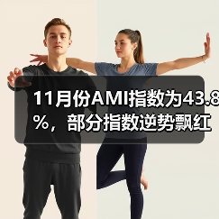 农机市场景气指数分析及趋势解读 11月份AMI指数为43.8%,部分指数逆势飘红(图4)