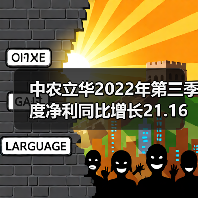 中农立华2022年第三季度净利同比增长21.16%（图2）