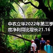 中农立华2022年第三季度净利同比增长21.16%（图1）
