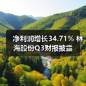 林海股份农业机械板块盈利承压 市场拓展显成效 净利润增长34.71% 林海股份Q3财报披露(图3)
